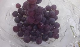 提子网红爆料做美食视频,提子美食视频制作全攻略