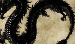 黑龙驯养者爆料视频,神秘生物的真实生活与驯养历程