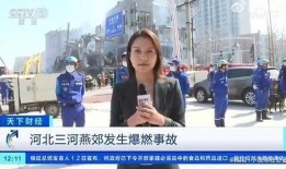 小伙遭记者爆料视频大全,揭秘视频背后的真相与争议